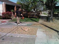 Final cleanup after removal