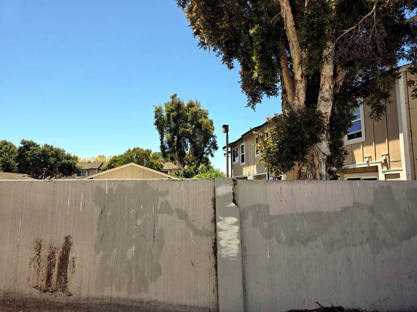 Commercial wall after vegetation clearance