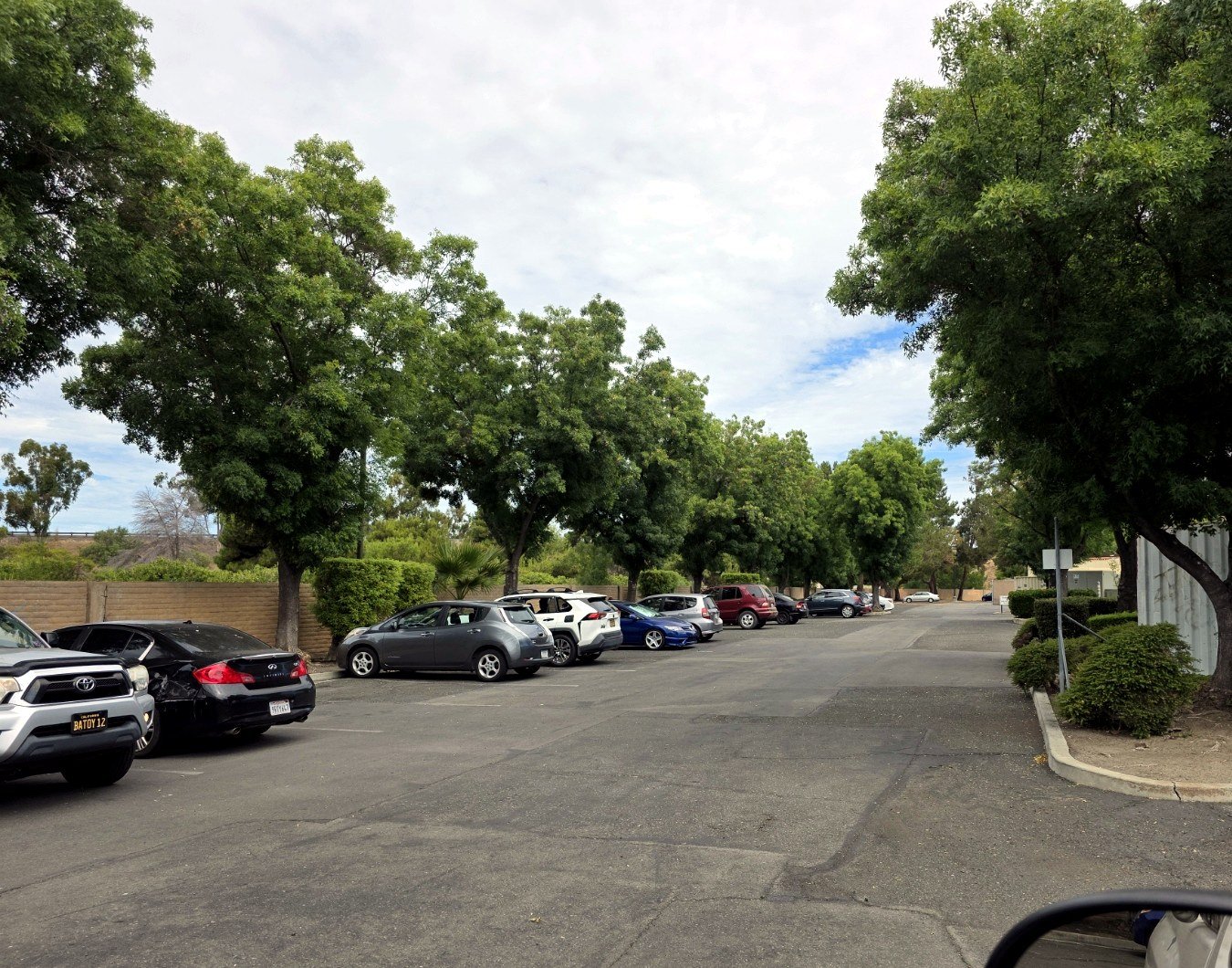 Commercial property entry lined with mature trees