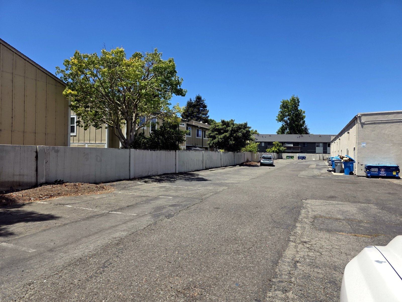 Commercial service lane and boundary trees