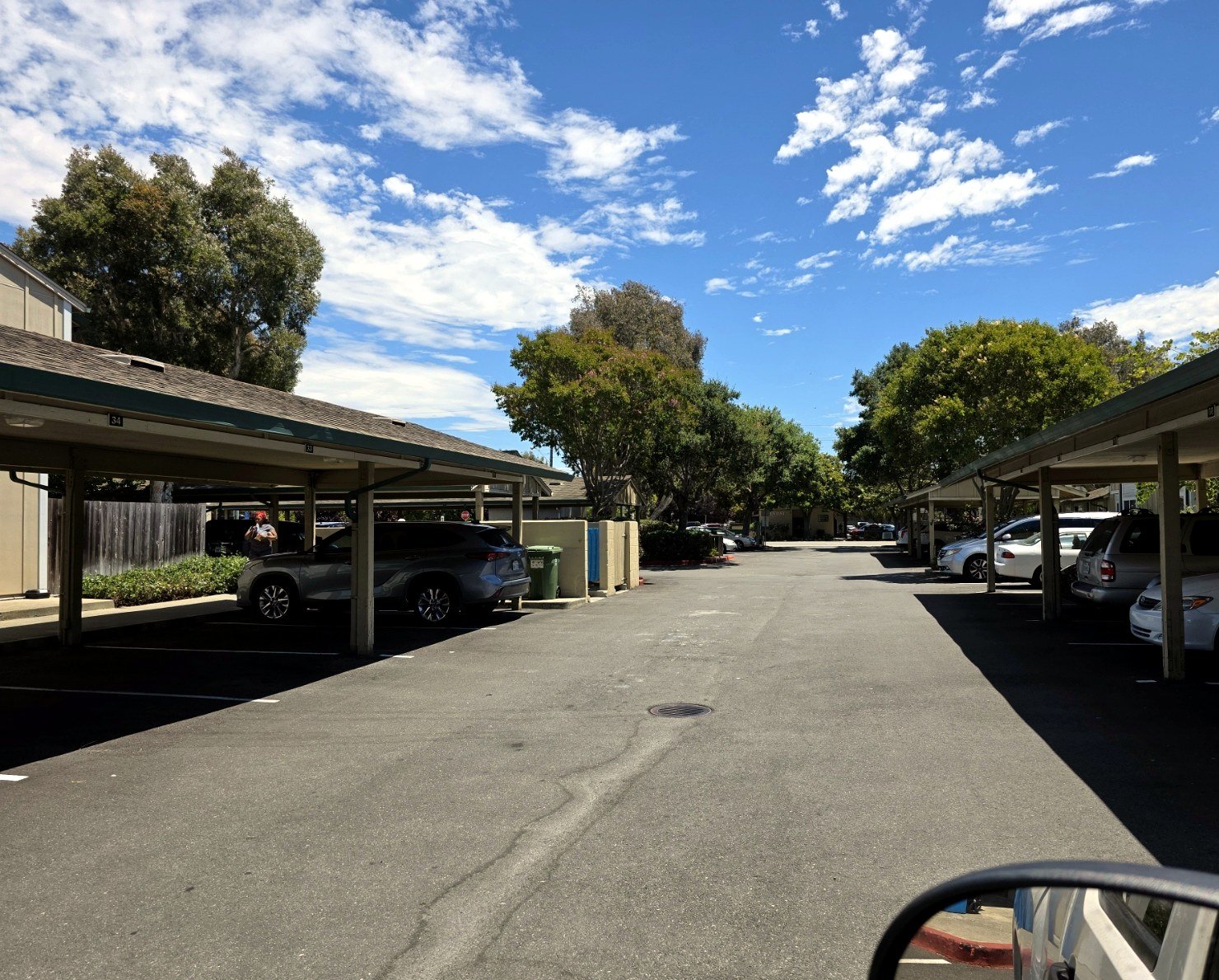 Trees near apartment carports