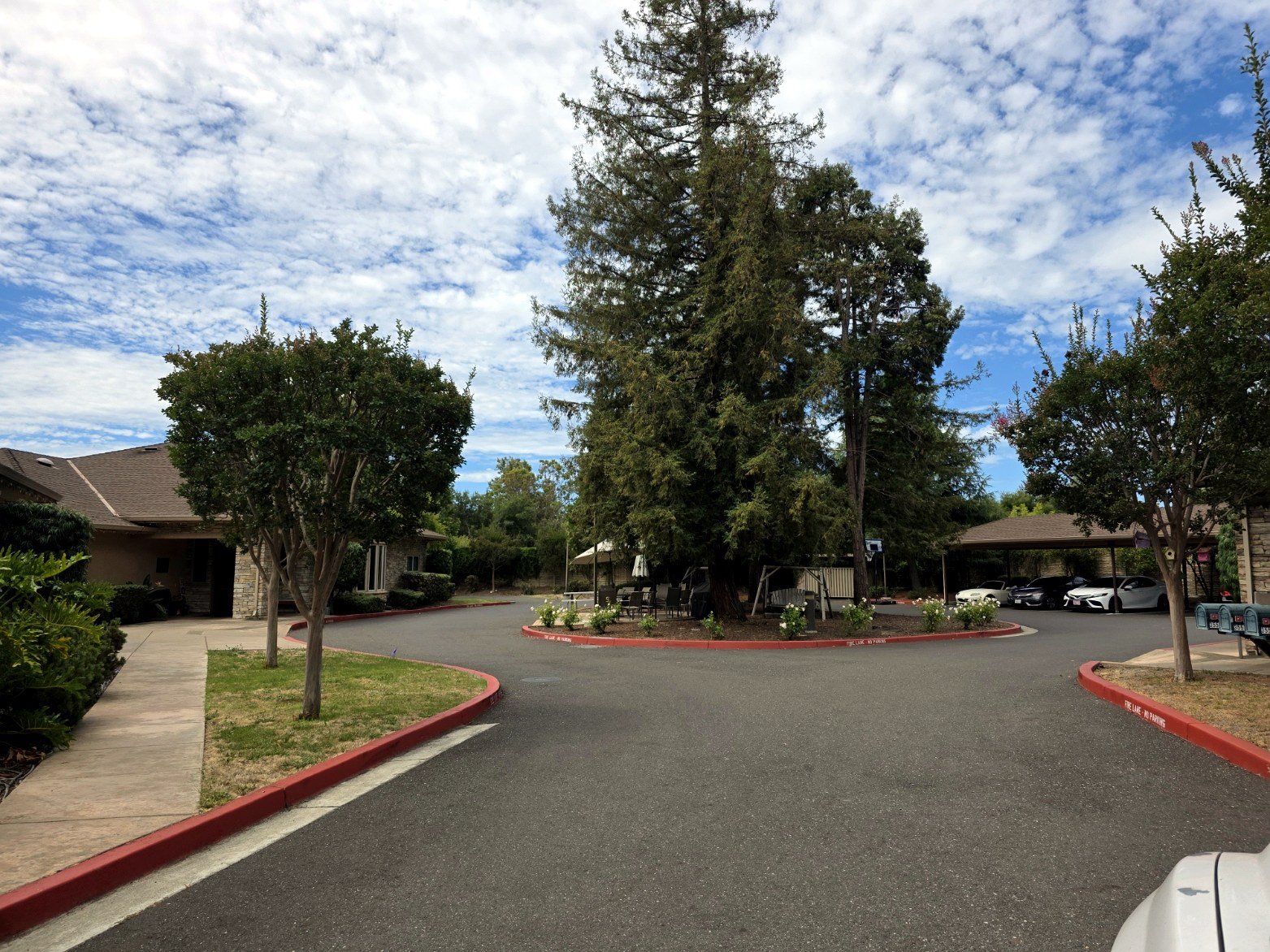 Landscaped entrance drive in an apartment community